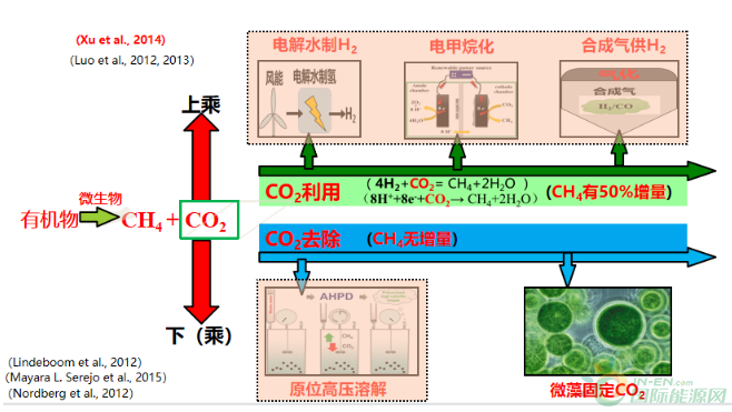 王凯军：沼气新技术发展及产品高值化利用