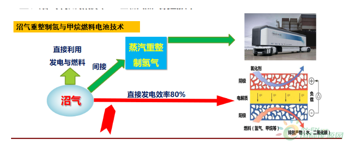 王凯军：沼气新技术发展及产品高值化利用