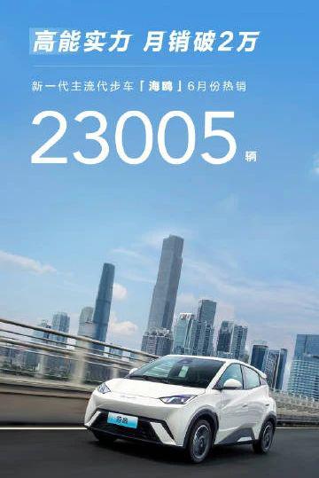 2023：风浪越大，比亚迪越猛