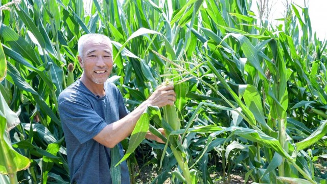 屋顶看乡村｜光伏“盈利账”，退伍老兵的农村坚守