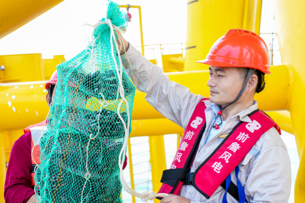 国家电投广东公司推进“海上风电+海洋牧场”打造蓝色粮仓