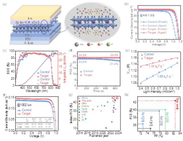 刘生忠&赵奎AM : 全文详解！超42%纪录效率！钙钛矿电池