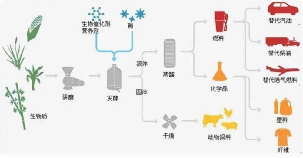 为何说“生物质能”，是人类未来发展的重要能源？3个影响很关键