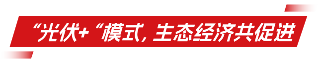 超发8.23%！超能量下的“绿进沙退”