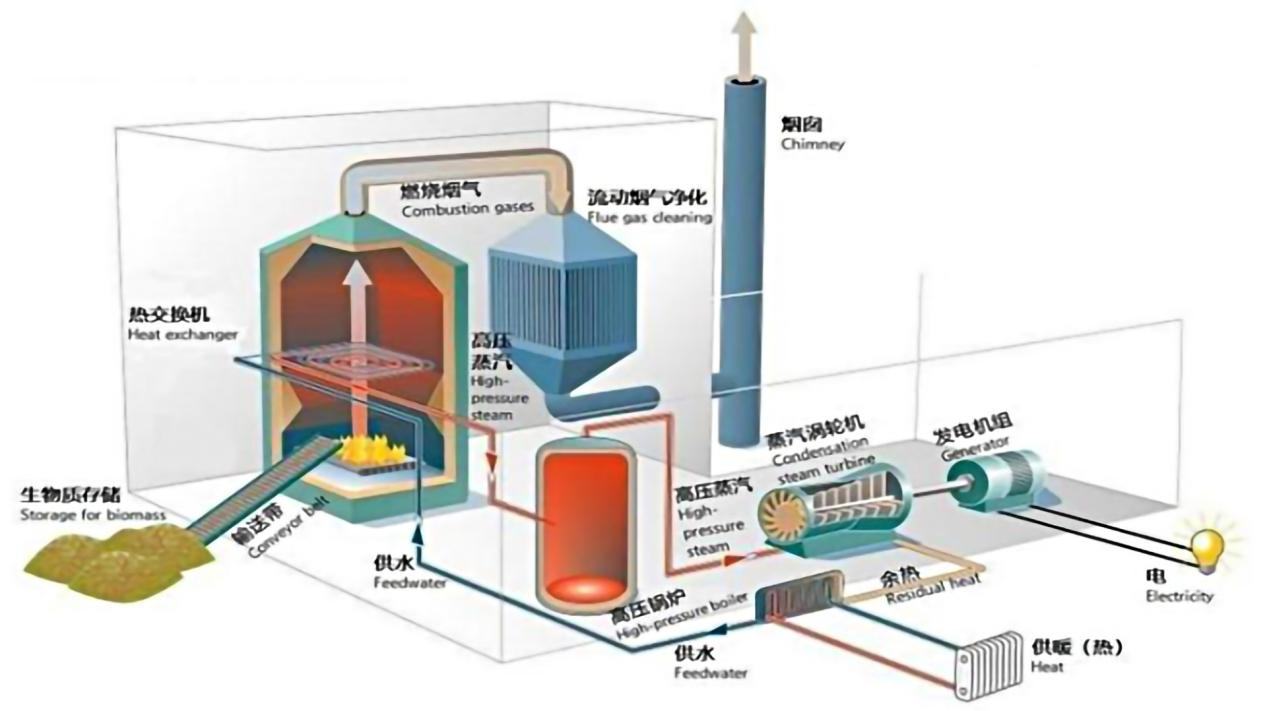 综合智慧能源科普系列：生物质能