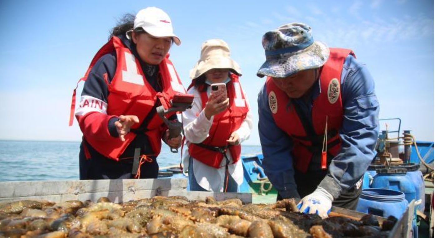 中国首个海上“风电+牧场”项目探路海洋资源立体利用