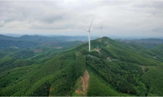 广西首个分布式风电场，发电量超预期近30%