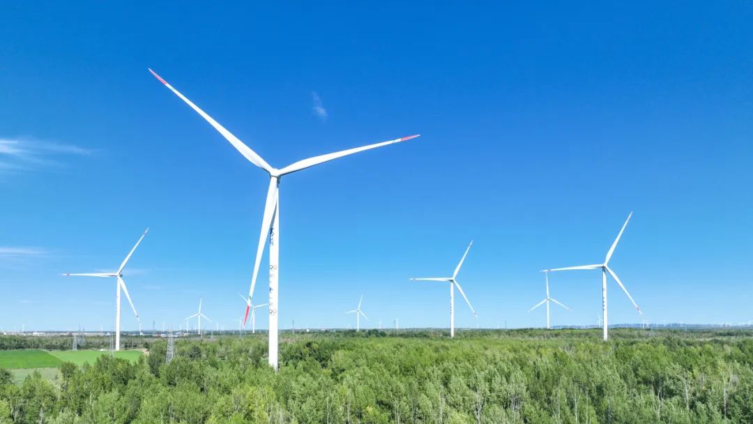 报名中 | 风电金奖项目是如何炼成的？首届发电企业创新发展研讨会分享