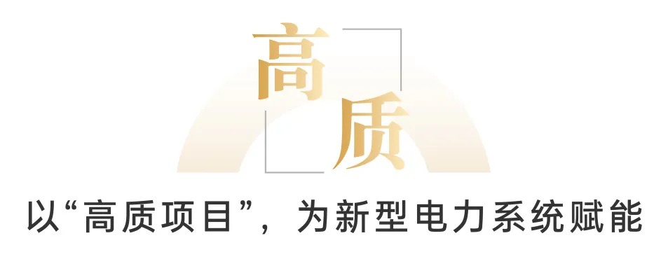 美克生能源董事长魏琼当选中国化学与物理电源行业协会储能应用分会副理事长